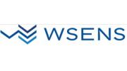 WSENS (Группа компаний Визард)