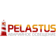 Компания Pelastus