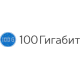 Интернет-магазин телекоммуникационного оборудования «100 Гигабит»